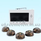 Система вызова официанта комплект "5 звоночков Мини"