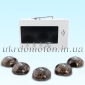 Система вызова официанта комплект "5девочек Мини"